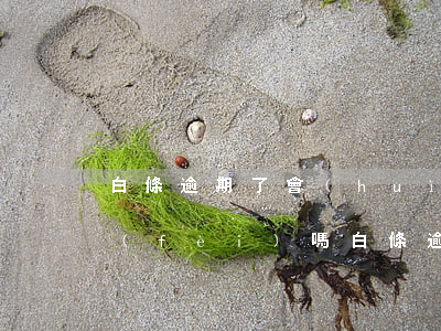 白條逾期了會(huì)收手續(xù)費(fèi)嗎 白條逾期幾百元