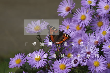 白條逾期了逾期費(fèi)用能減免嗎 白條逾期能減免利息嗎