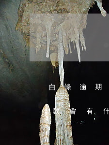 白條逾期了還可以還款嗎(白條逾期半個月還款會有什么后果)