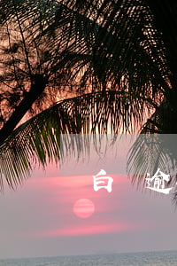 白條逾期了還完不能取現(xiàn)了