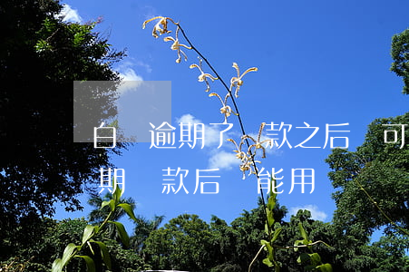 白條逾期了還款之后還可以使用嗎-白條逾期還款后還能用嗎