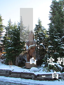 白條逾期了還能在京東上買(mǎi)東西嗎-白條逾期還能購(gòu)物嗎