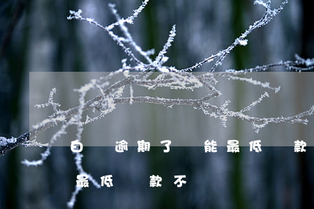 白條逾期了還能最低還款不(白條逾期了還能最低還款不)
