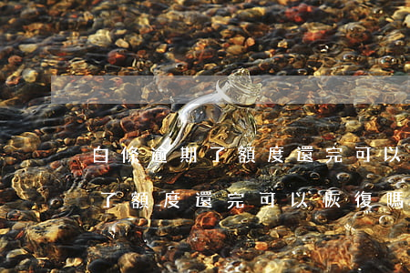 白條逾期了額度還完可以恢復嗎-白條逾期了額度還完可以恢復嗎怎么辦
