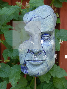 白條逾期二十多天還能不能用（白條逾期過沒法使用幾個月能用）