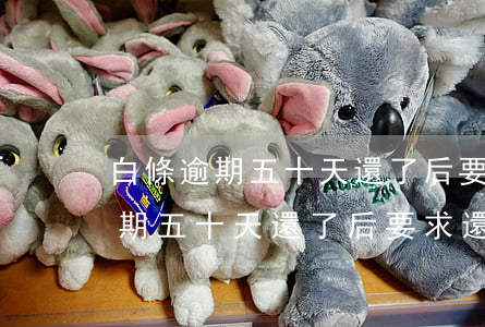 白條逾期五十天還了后要求還全款-白條逾期五十天還了后要求還全款怎么辦
