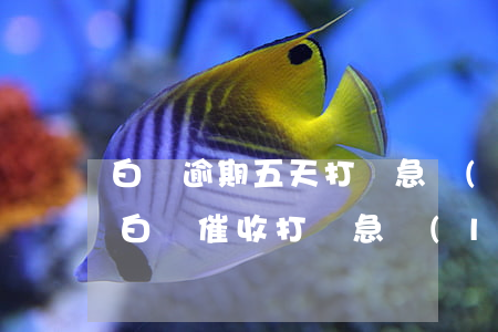 白條逾期五天打緊急聯(lián)系人-白條催收打緊急聯(lián)系人