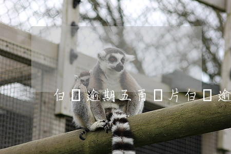 白條逾期五百圖片(白條逾期六十天)
