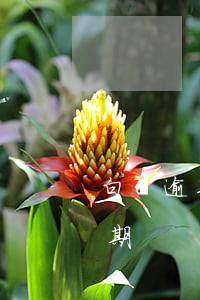 白條逾期什么時候恢復(fù)（新氧白條逾期）