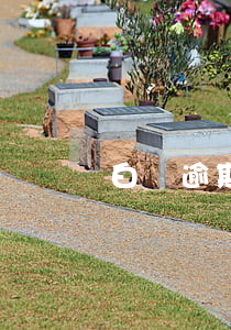 白條逾期信息不完善
