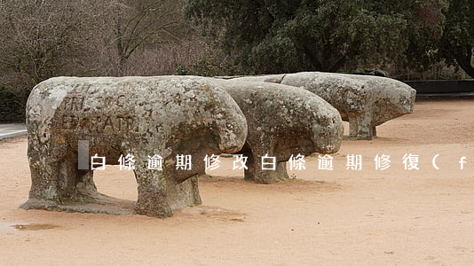 白條逾期修改(白條逾期修復(fù))