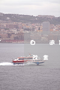 白條逾期修改還款金額(白條提前還款怎么修改金額)