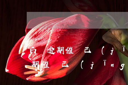 白條逾期催債已經(jīng)還了(白條逾期催債已經(jīng)還了)
