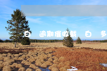 白條逾期催收截圖 白條多久催收