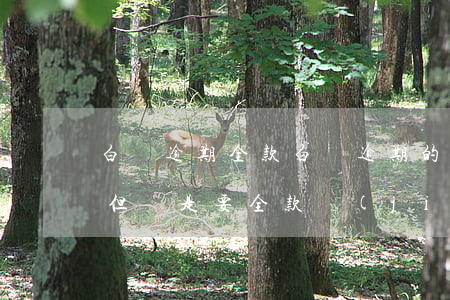 白條逾期全款(白條逾期的結(jié)清了,但還是要全款結(jié)清)