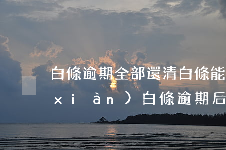 白條逾期全部還清,白條能用,但是不能提現(xiàn)（白條逾期后再提現(xiàn)）