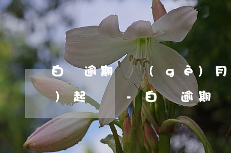 白條逾期兩個(gè)月七百塊會(huì)起訴嗎-白條逾期兩個(gè)月七百塊會(huì)起訴嗎