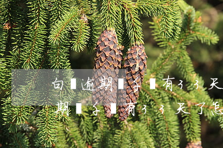白條逾期兩千塊有33天了怎么辦-白條逾期兩千塊有33天了怎么辦呢