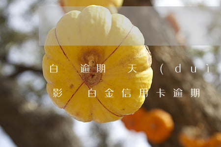 白條逾期兩天對(duì)銀行信用有沒有影響（白金信用卡逾期幾天會(huì)上征信）