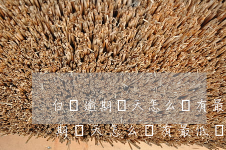 白條逾期兩天怎么沒有最低還款了-白條逾期兩天怎么沒有最低還款了呢