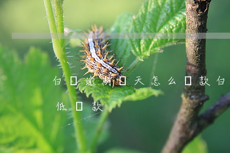 白條逾期兩天怎么還款(白條逾期兩天沒有最低還款)