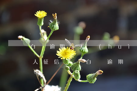 白條逾期兩天會(huì)影響個(gè)人征信嗎-白條逾期兩天會(huì)影響個(gè)人征信嗎