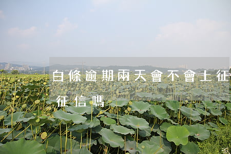 白條逾期兩天會不會上征信（白條逾期兩天入征信嗎）
