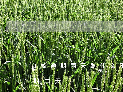 白條逾期兩天為什么不能還最低了-白條逾期二天