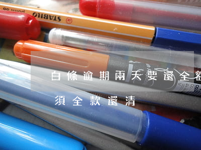 白條逾期兩天要還全額-白條逾期15天必須全款還清