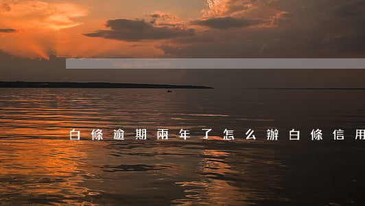 白條逾期兩年了怎么辦（白條信用卡逾期兩年）