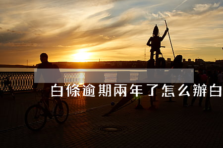 白條逾期兩年了怎么辦（白條嚴重逾期一年）