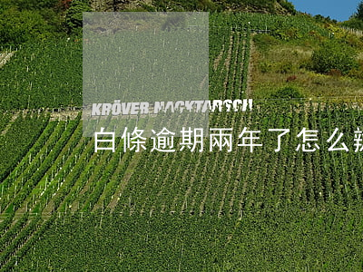 白條逾期兩年了怎么辦（白條逾期兩年了）