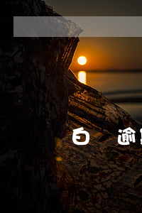 白條逾期兩年沒還出了金條(白條逾期2年)