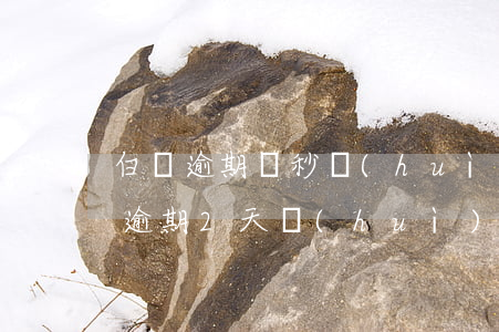 白條逾期兩秒會(huì)上征信嗎-白條逾期2天會(huì)上征信