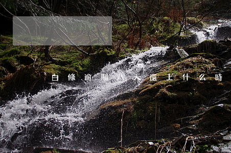 白條逾期八天還上什么時候恢復(fù)
