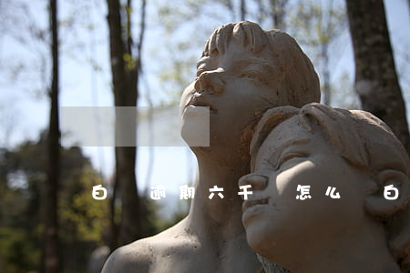白條逾期六千會怎么樣(白條逾期6000)