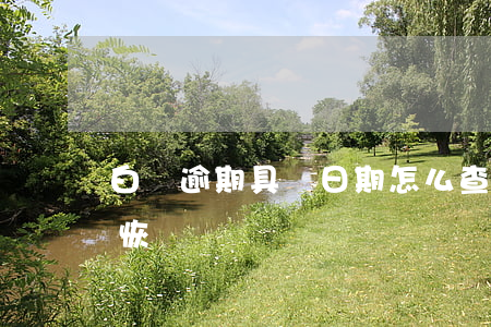 白條逾期具體日期怎么查(白條逾期什么時候恢復)