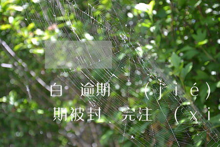 白條逾期凍結(jié)多久能解封（白條逾期被封還完注銷(xiāo)）