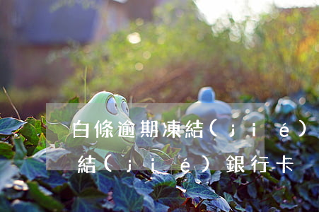 白條逾期凍結(jié)銀行卡 白條逾期凍結(jié)銀行卡