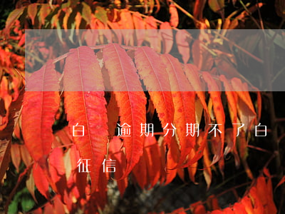 白條逾期分期不了（白條分期沒有逾期上不上征信）