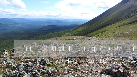 白條逾期到下個(gè)月還 白條逾期下個(gè)月在還可以嗎