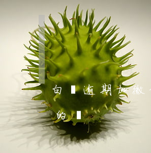 白條逾期加微信催收(白條逾期上門催收是真的嗎)