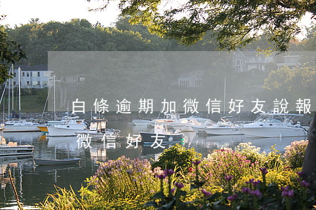 白條逾期加微信好友說報案起訴（白條逾期加微信好友）