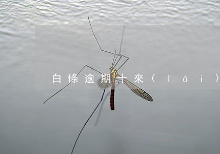 白條逾期十來(lái)天 白條逾期六十天