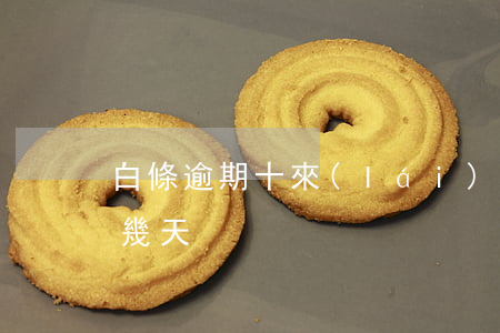 白條逾期十來(lái)天還-白條逾期十幾天