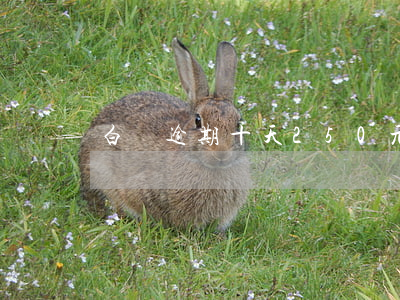 白條逾期十天250元 白條逾期兩百塊