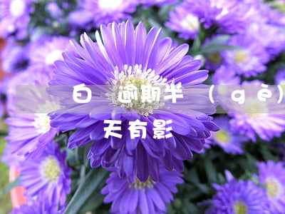 白條逾期半個(gè)月什么后果(白條逾期幾天有影響嗎)