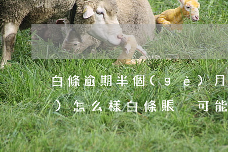 白條逾期半個(gè)月處理了會(huì)怎么樣（白條賬戶可能有逾期怎么解決）