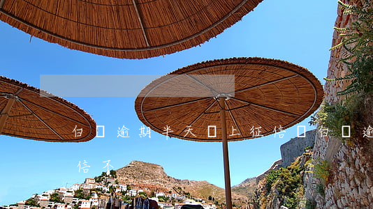 白條逾期半天會上征信嗎 白條逾期幾天上征信不