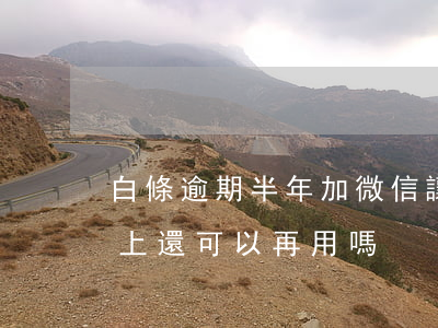 白條逾期半年加微信讓我還款(白條逾期了還上還可以再用嗎)
